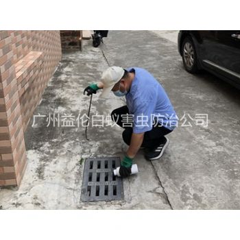 沙河蚊蝇孳生地消杀