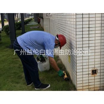 员村厂区灭鼠工程