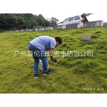 天园堤坝有害蚁类防控