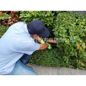 天河绿化带施药灭鼠