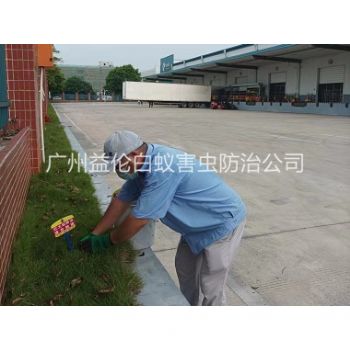 车陂企业杀除红火蚁