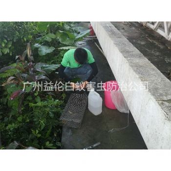 棠下虫控站进行捕蛇