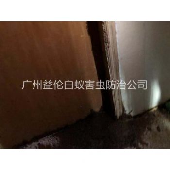 兴华仓库蚁害防治