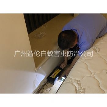 林和家居白蚂蚁灭治