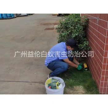 员村布放灭鼠屋工程