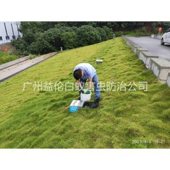 黄村水利堤坝鼠害防控工程