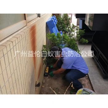 长兴投放灭鼠装置工程
