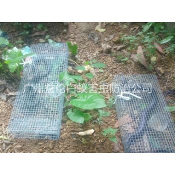 冼村上门驱蛇防蛇工程