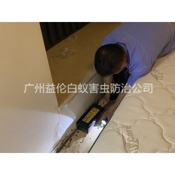 兴华家居白蚁灭治工程