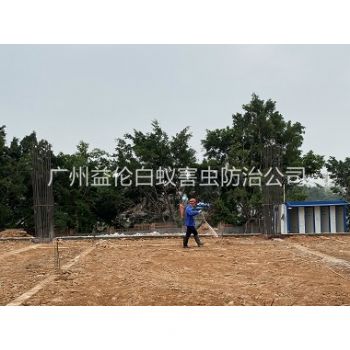 珠吉地基新建预防白蚁工程