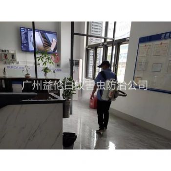 沙东室内杀灭蚊蝇工程
