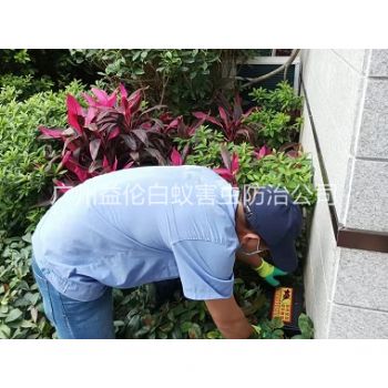 天河住宅环境灭鼠工程